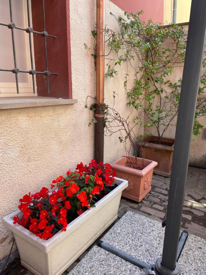 Apartament Via Braschi Sessantotto Cesena Zewnętrze zdjęcie